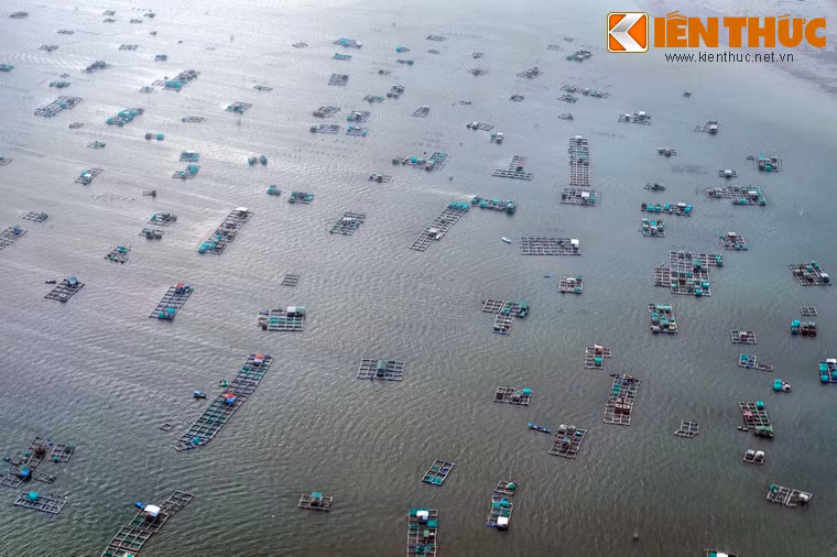 Các lồng bè thủy sản tạo nên một cảnh tượng thú vị trên mặt vịnh khi nhìn từ không trung.