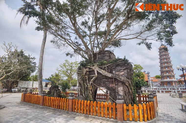 Có lịch sử hơn 700 năm, chùa Hoằng Phúc (xã Mỹ Thủy, huyện Lệ Thủy, tỉnh Quảng Bình) là một trong những ngôi chùa cổ nhất miền Trung. Dấu tích kiến trúc xa xưa nhất còn được lưu giữ của chùa là một cánh cổng nằm ở sân trước. Cánh cổng này gây ấn tượng đặc biệt với một cây si lớn mọc trùm lên trên.