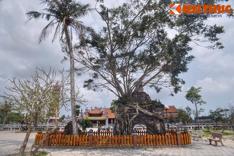 3. Có lịch sử hơn 700 năm, chùa Hoằng Phúc (xã Mỹ Thủy, huyện Lệ Thủy, tỉnh Quảng Bình) là một trong những ngôi chùa cổ nhất miền Trung. Dấu tích kiến trúc xa xưa nhất còn được lưu giữ của chùa là một cánh cổng nằm ở sân trước.