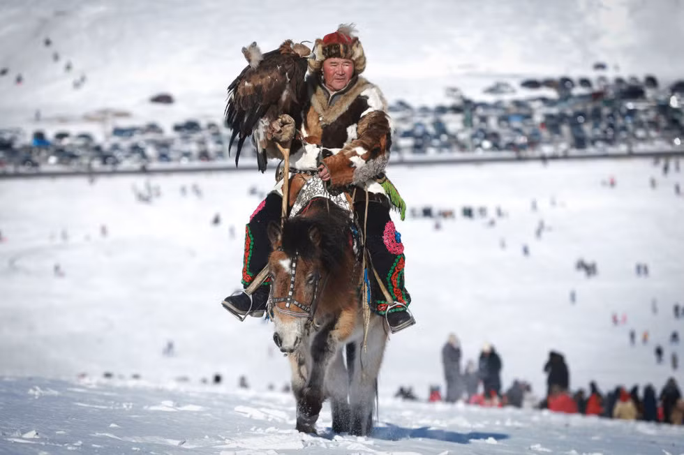 Những con chim dũng mãnh là niềm tự hào của người Kazakh và bắt đại bàng là một môn thể thao địa phương. Họ sẽ dùng thịt hoặc một con đại bàng để dụ đồng loại của chúng vào bẫy. Một cách khác đó là tìm đến những chiếc tổ và giấu đi những con non khi mẹ của chúng đi xa.