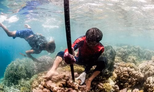 Người Bajau có thể lặn sâu dưới đáy đại dương.