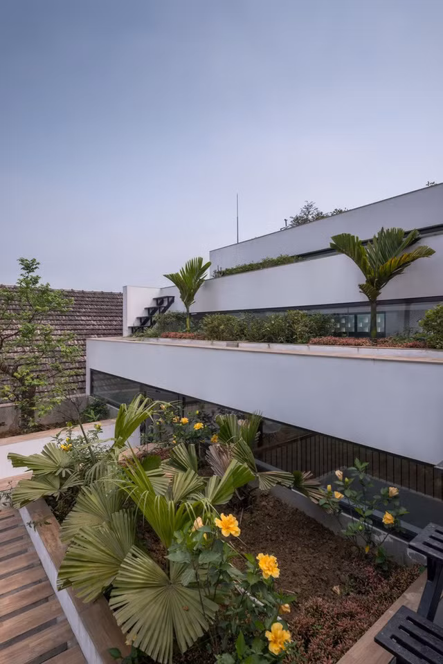 Khu vực trồng trọt chính là ruộng bậc thang được bố trí trên mái. Hai bên sườn dốc là hệ thống thủy lợi để tưới tiêu cho khu đất nông nghiệp và giảm thiểu tác động bất lợi của điều kiện môi trường sống và gió mùa nhiệt đới như việc thiếu cây xanh, tiếng ồn, bụi và khói, nhiệt độ, bão. Ảnh: ArchDaily. 