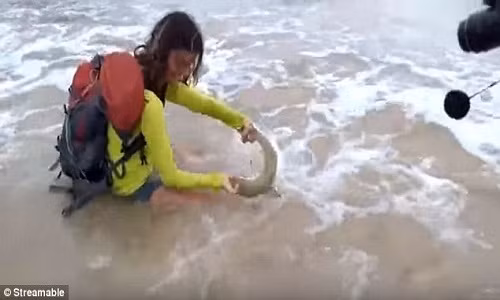 Lôi cá mập lê bờ Selfie, gái trẻ nhận cái kết đắng ngắt Loi ca map le bo Selfie, gai tre nhan cai ket dang ngat