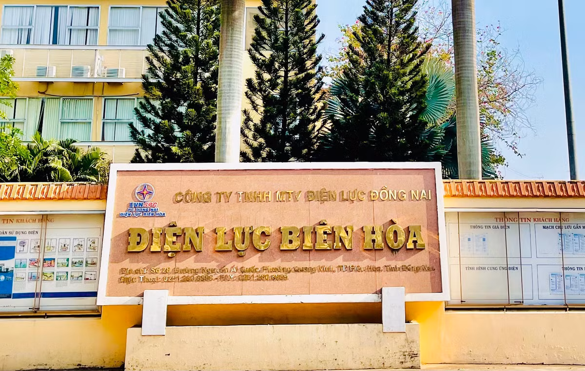 Điện lực Biên Hòa: Năng lực nhà thầu trúng gói xây dựng, nâng cấp đường dây trung thế - Hình 2 Dien luc Bien Hoa: Nang luc nha thau trung goi xay dung, nang cap duong day trung the-Hinh-2