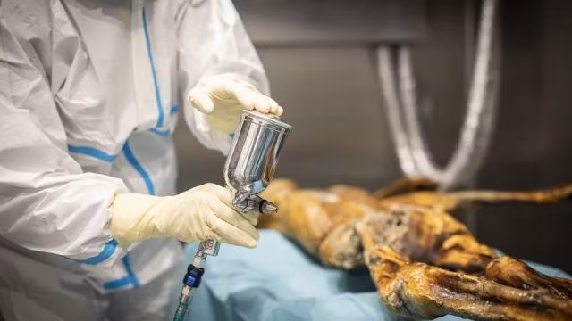 Một nghiên cứu gần đây về DNA của Ötzi đã đưa ra những thông tin mới về ngoại hình và nguồn gốc của người này.
