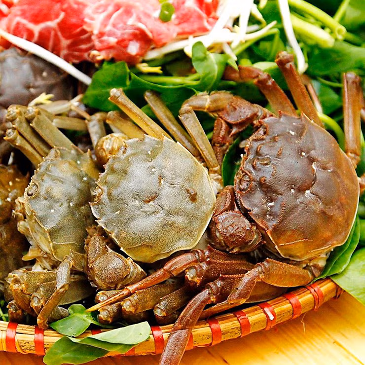 Sự khám phá về cua lông Hepu không chỉ mở ra những cơ hội mới trong nghiên cứu sinh vật biển và bảo tồn tài nguyên đa dạng sinh học, mà còn làm thú vị hơn cho ẩm thực độc đáo của Việt Nam.