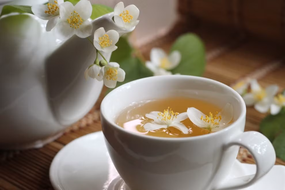 Cây hoa nhài được trồng phổ biến khắp nơi trên đất nước Việt Nam từ xưa tới nay. Hoa nhài có tác dụng giảm căng thẳng, thanh nhiệt, hạ sốt, giảm đau nhức xương khớp và đau bụng do ăn đồ lạnh.
