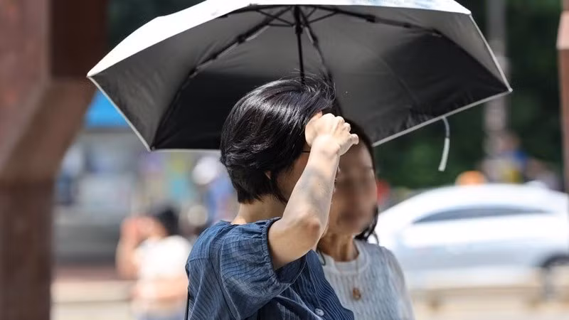 Hiện tại, nhiệt độ toàn cầu đang tăng liên tục, vượt quá mức biến thiên tự nhiên.