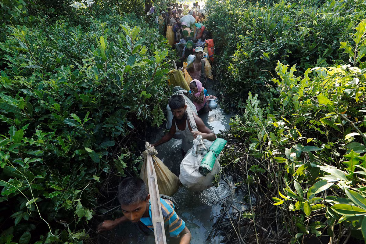 Người tị nạn Rohingya “trèo đèo lội suối” để tới Bangladesh ngày 16/10. Ảnh: The Atlantic.