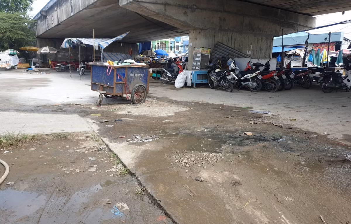 Cà Mau: Xã cố tình làm trái chỉ đạo của huyện nhằm mục đích gì? - Hình 2 Ca Mau: Xa co tinh lam trai chi dao cua huyen nham muc dich gi?-Hinh-2
