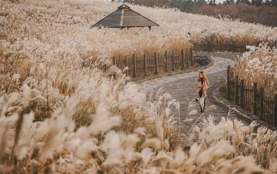 Từ Việt Nam bay đến Jeju có hai đường chính. Đầu tiên bạn có thể bay tới Bangkok, từ Bangkok bay đi Jeju. Cách này mất khoảng 10,5 triệu đồng chi phí vé máy bay khứ hồi, không phải xin visa.