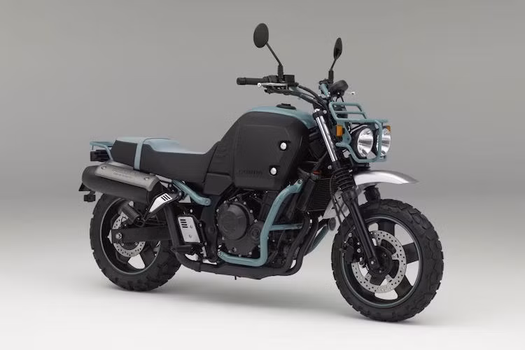 Ra mắt lần đầu tại triển lãm môtô Osaka, Nhật vào tháng 3/2015, Honda Bulldog đã được hãng thiết kế với ý tưởng chính là một "người bạn đồng hành đáng yêu" trên mọi nẻo đường dành cho những người mới chơi môtô phân khối lớn.