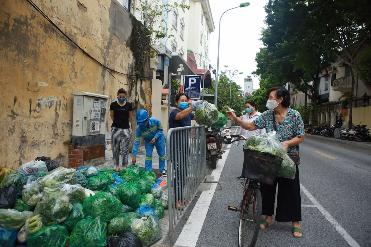Trên phố Nguyễn Gia Thiều (Trần Hưng Đạo, Hoàn Kiếm, Hà Nội) những ngày gần đây xuất hiện một sạp rau nhỏ ở góc đường.