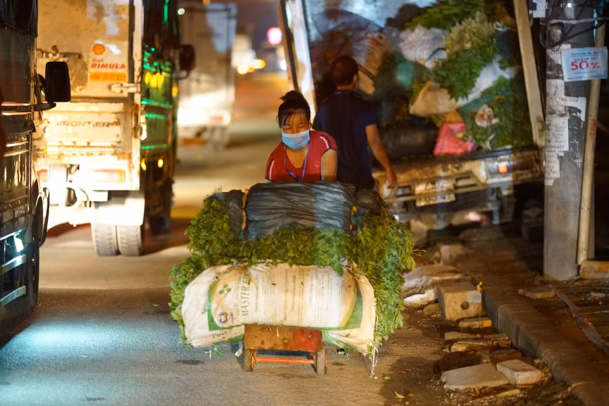 Trước giờ chợ mở cửa, ô tô đã xếp thành hàng dài chờ chở đồ vào bãi xe tập kết hàng.