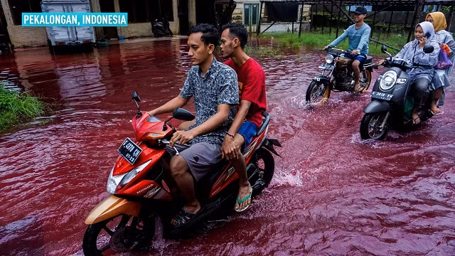 Sự thật về "dòng sông máu" làm ngập ngôi làng ở Indonesia Su that ve