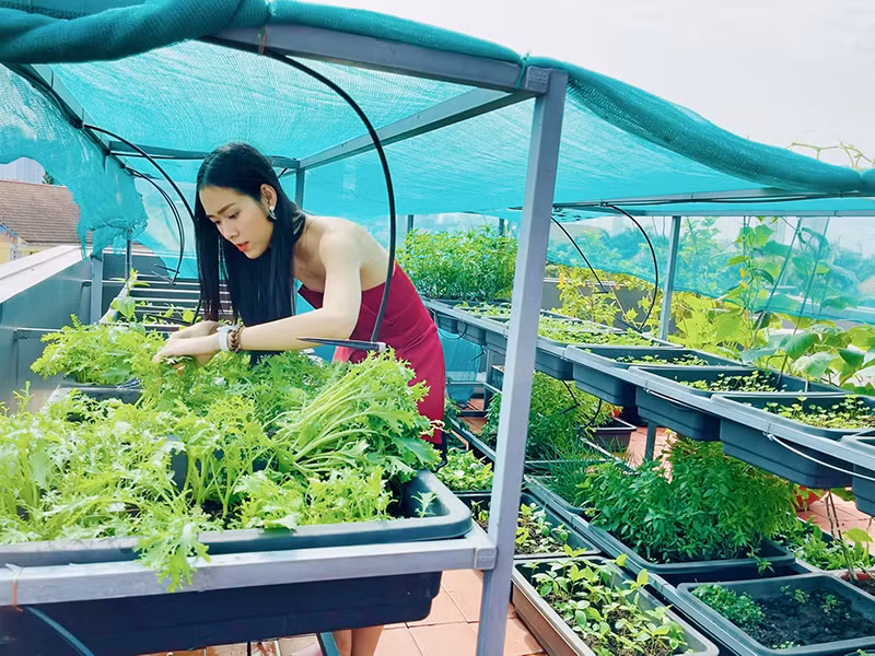 Nữ diễn viên còn dành thời gian rảnh rỗi để chăm sóc vườn rau trên sân thượng.