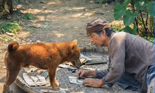 Số đông ý kiến đánh giá chú chó này mập mạp, trong khi nguyên tác, “Cậu Vàng” sống trong bối cảnh làng quê Việt Nam đầu thế kỷ 20, được Lão Hạc rất nghèo khổ nuôi. Ngoài ra, do yếu tố lịch sử nên khán giả không đồng tình với quyết định chọn chú chó Nhật đóng "Cậu Vàng".