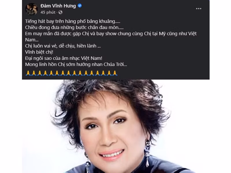 Đàm Vĩnh Hưng cũng bày tỏ sự tiếc thương trước sự ra đi của danh ca Lệ Thu. Anh cho biết, đàn chị là người vui vẻ, hiền lành và là ngôi sao của nền âm nhạc Việt Nam.
