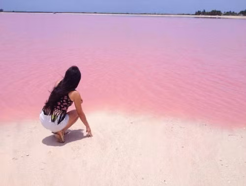 Đó chính là câu chuyện lạ kỳ về hồ nước nhỏ ở một ngôi làng đánh cá có tên là Las Coloradas, nằm ở phía bờ đông của Bán đảo Yucatán (Mexico).