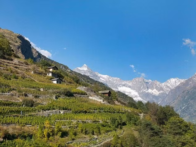 Bà cũng cho biết hai điểm đến yêu thích nhất là Zermatt (trong ảnh) và Bernese Oberland. Cả hai nơi đều thích hợp với hoạt động đi bộ và leo núi.