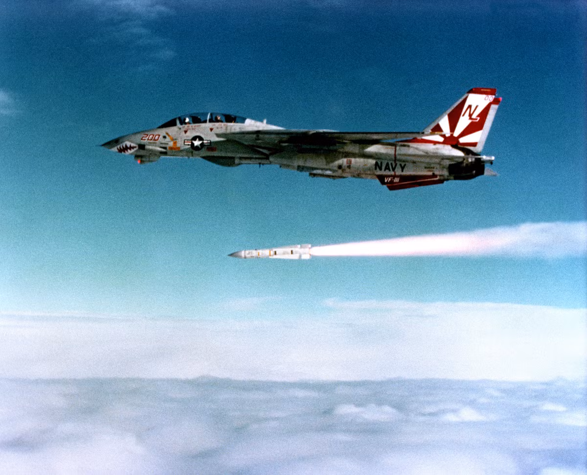 Còn về vũ trang của F-14, các vũ khí mà nó mang theo mang một sự hiện diện đáng chú ý là siêu tên lửa tầm xa AIM-54 Phoenix của Mỹ, với loại tên lửa này, nhiều đánh giá nói rằng, “thậm chí F-14 không cần nhào lộn, dựa vào sự cơ động. Phoenix là quá đủ uy lực xé nát đối phương”.
