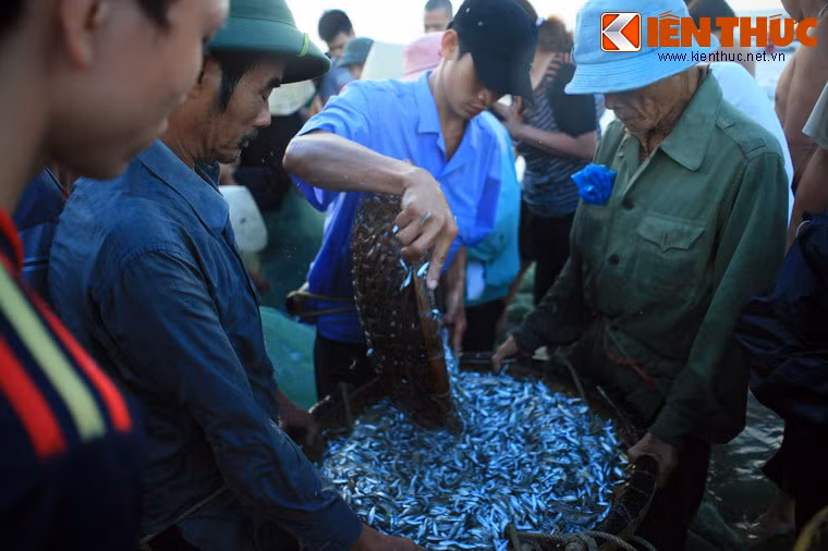 Giá cả ở đây nhìn chung là rẻ hơn so với các khu chợ hải sản của thành phố.