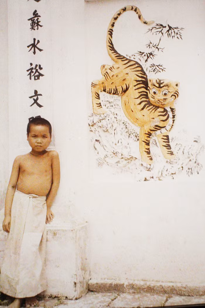 Chú bé đứng bên tranh hổ trước cổng đền Vĩnh Thụy ở Hà Nội, Việt Nam đầu thế kỷ 20. Ảnh: Léon Busy. Chú bé đứng bên tranh hổ trước cổng đền Vĩnh Thụy ở Hà Nội, Việt Nam đầu thế kỷ 20. Ảnh: Léon Busy.