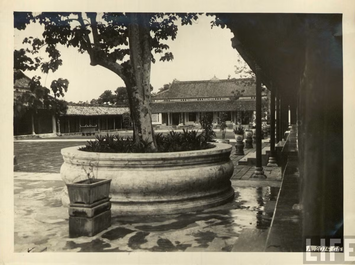 Một góc Tử Cấm Thành Huế. Ảnh: Life.