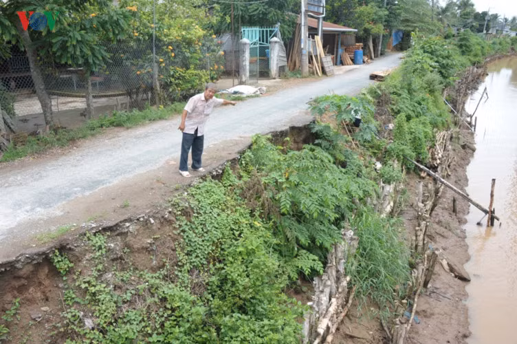 Tuy bà con gia cố nhưng hàng năm việc sạt lở vẫn diễn ra.