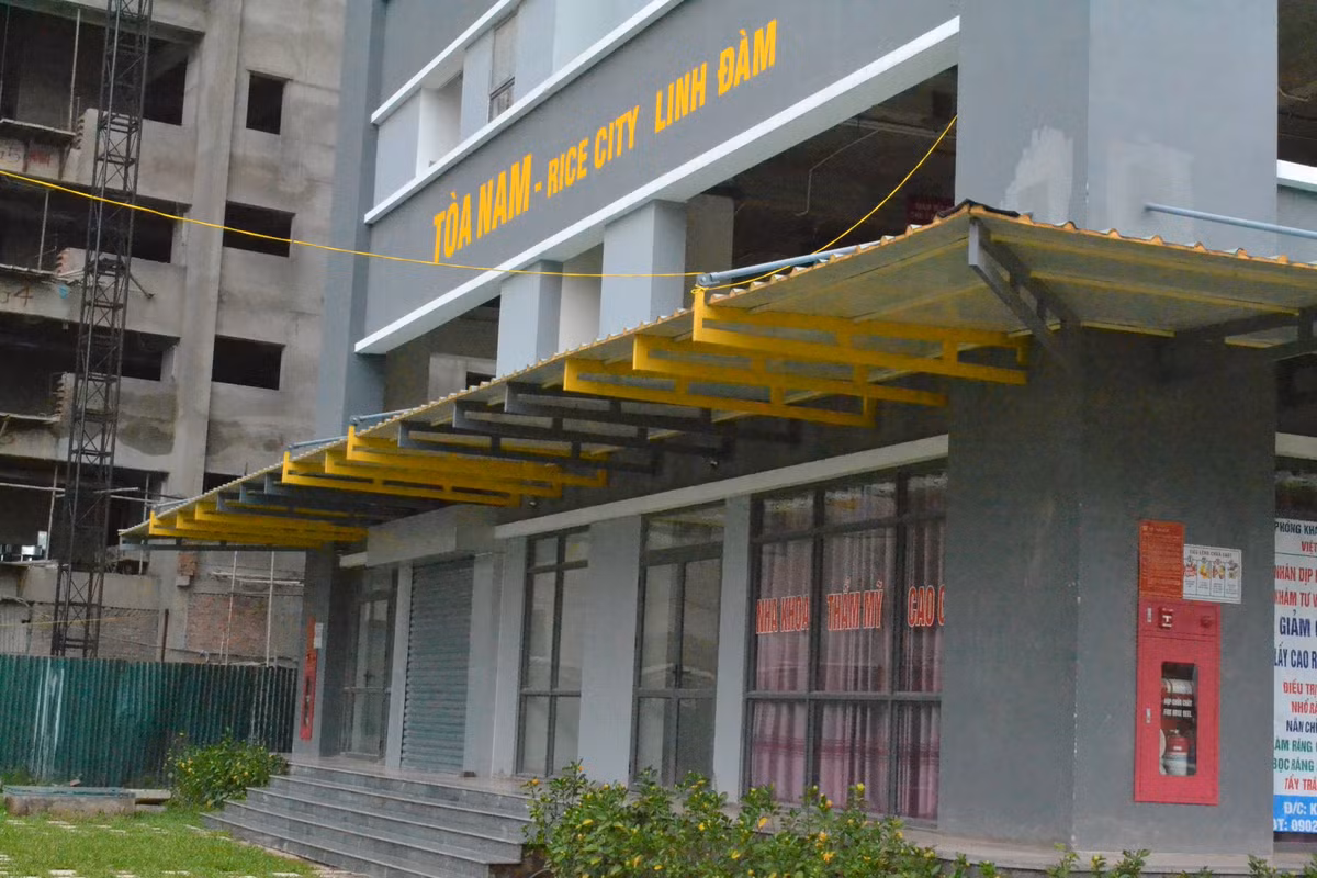  Dự án Rice City tọa lạc tại lô đất CT4 và CT5 khu đô thị mới Tây Nam Hồ Linh Đàm do Công ty cổ phần BIC Việt Nam làm chủ đầu tư. Công trình được xây dựng trên diện tích 2.2, diện tích xây dựng hơn 80.700 m2, gồm 7 tòa chung cư cao từ 18-21 tầng, nằm ở phía Tây Nam Linh Đàm, đáp ứng nhu cầu nhà ở của 1.000 hộ dân với hơn 2.000 người.