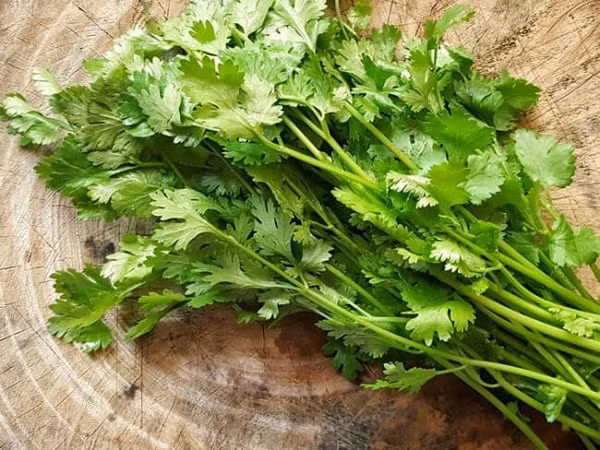Với những món tanh, rau mùi rất thích hợp để rắc lên sau khi nấu bởi chúng dễ dàng khử được mùi khó chịu.