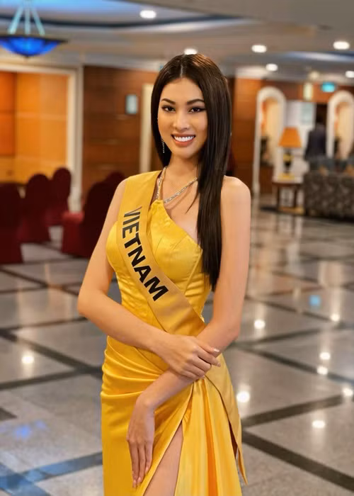 Việc Ngọc Thảo vuột mất giải thưởng “Người đẹp truyền thông” gây tiếc nuối vì trước đó, nhờ fan và các đồng nghiệp như H’hen Niê, Đỗ Thị Hà, Lương Thùy Linh, Kiều Loan, Đỗ Mỹ Linh kêu gọi bình chọn, Ngọc Thảo vươn lên vị trí top 1 vào không ít thời điểm.