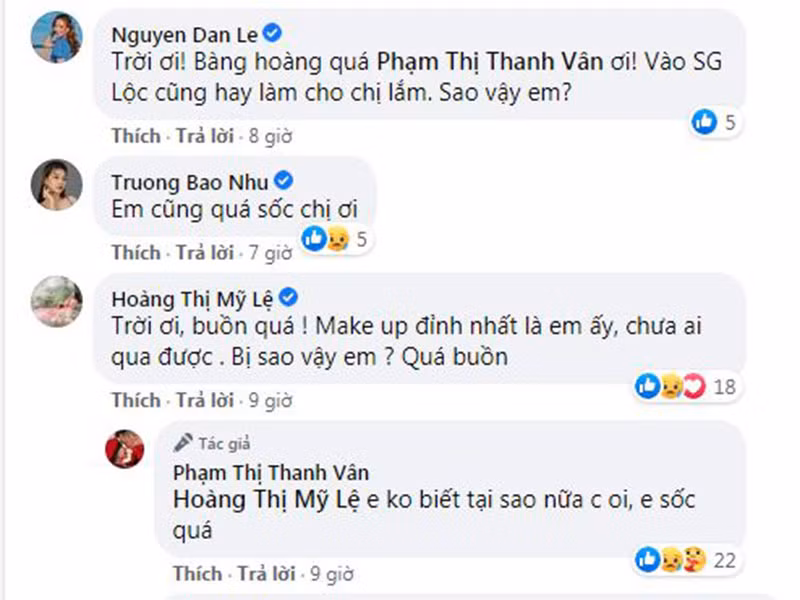 Đan Lê, Trương Bảo Như, Mỹ Lệ, Nhã Phương, Ngọc Quyên, Hồng Ngọc... cũng không ngờ Minh Lộc ra đi.