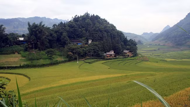 Không sống được ở địa phương, đối tượng chuyển đến xã Sín Chéng sinh sống. Trong quá trình ở tại đây, Vử gặp người phụ nữ goá bụa rồi nên vợ nên chồng. Dù đã có vợ và con chung với người phụ nữ này, nhưng theo thông tin của người dân sinh sống ở địa bàn, đối tượng vẫn thường “trêu hoa, ghẹo nguyệt”, nạn nhân là những phụ nữ đơn thân, có chồng đi làm xa nhà. Chị M cũng là một trường hợp như vậy, chị có chồng nhưng nhiều tháng nay chồng chị đi làm ăn ở Đắk Lắk… (Ảnh minh họa, nguồn internet) 
