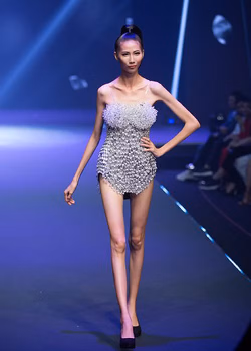 Ha Anh chia se soc ve nghe mau giua on ao Cao Ngan-Hinh-2