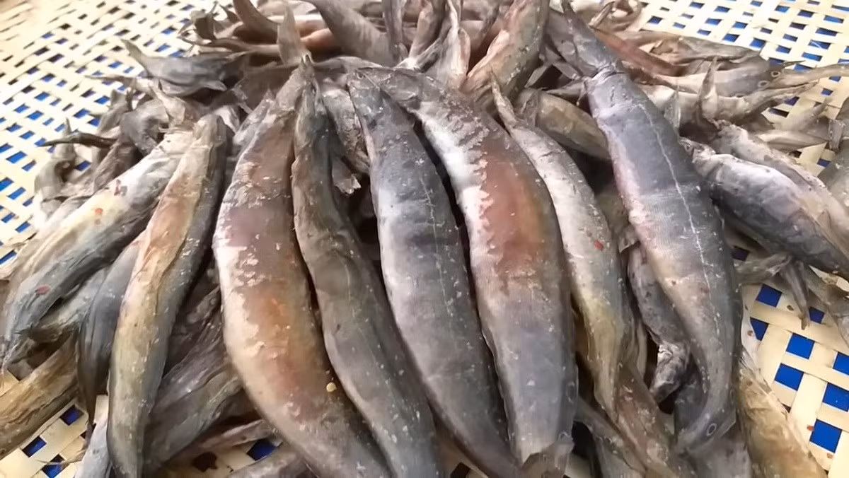 Khô cá chạch là một loại đặc sản thơm ngon của miền Tây sông nước hữu tình. Cá chạch sau khi được ướp muối sẽ đem đi phơi nắng trong khoảng 2 - 3 ngày để thịt cá săn lại. Sau đó, có thể chế biến thành món nướng hoặc chiên đều tuyệt hảo.