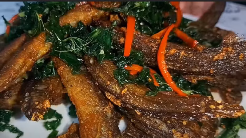 Vì vậy, loài nhân sâm nước này là món ăn tốt cho người suy dinh dưỡng, dùng sau ốm đau, bệnh tật.