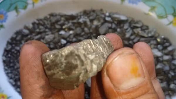 Một số người giàu muốn sử dụng Californium để làm một chiếc nhẫn, nhưng giấc mơ này không thể thành hiện thực. Ngay cả người giàu nhất thế giới cũng không thể đeo nhẫn làm từ Californium.