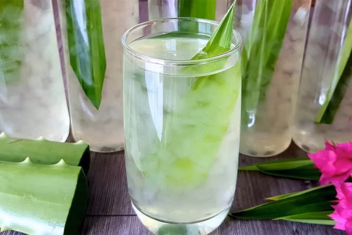 Nước nha đam: Trong y học cổ truyền nha đam được biết đến với tính mát và vị đắng, có tác dụng thanh nhiệt, làm mát cơ thể, giúp giảm cơn nóng bức và hỗ trợ điều trị táo bón. Bên cạnh đó, nha đam còn chứa nhiều dưỡng chất quan trọng như axit amin, vitamin và các khoáng chất bao gồm natri, kali, sắt, canxi, cùng với các hoạt chất thực vật như mucopolysaccharides, anthraquinones, axit salicylic, saponin… giúp tái tạo tế bào gan và giải độc gan. Ảnh minh họa