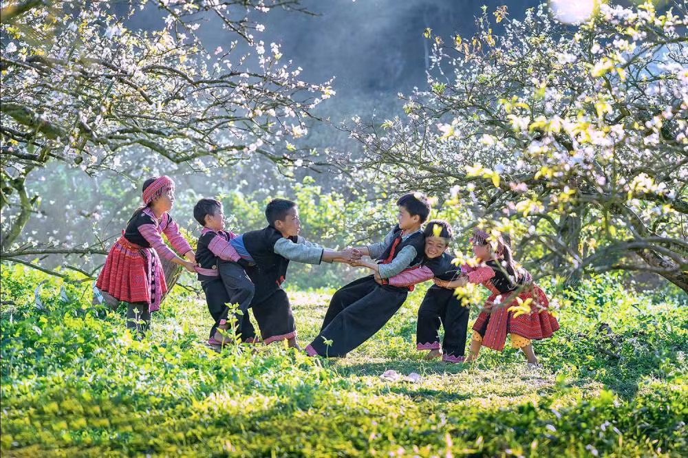 Để có một chuyến du lịch Mộc Châu trọn vẹn, du khách cần chú ý đến trang phục và thiết bị. Thời tiết vùng cao thường lạnh và nhiều sương sớm, vì vậy hãy chuẩn bị áo khoác ấm chống gió, găng tay, khăn quàng cổ và đặc biệt là giày đi bộ chống trượt. Nếu muốn có những bức ảnh đẹp, nên mang theo mũ rộng vành và chọn trang phục màu sắc hài hòa với cảnh quan như trắng hoặc pastel. Ảnh Internet