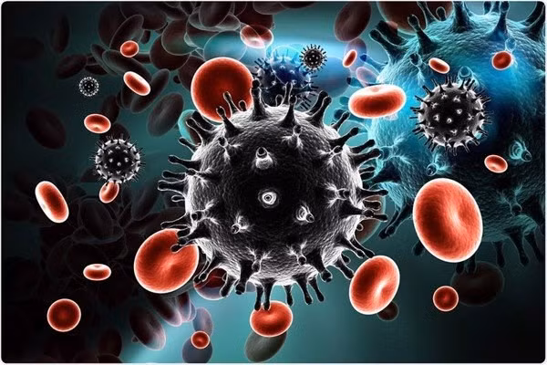 "Yêu" trong ngày "đèn đỏ" có có nguy cơ mắc các bệnh lây truyền qua đường tình dục như: HIV, Herpes, giang mai, HPV,... Ảnh minh họa