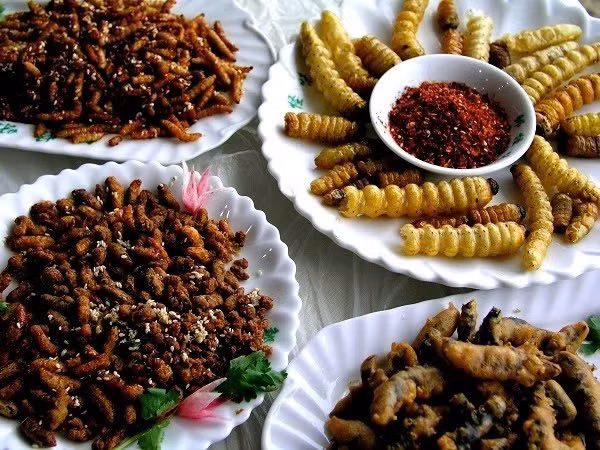 Nền ẩm thực Việt Nam có không ít món ăn kinh dị làm từ sâu khiến thực khách đều "sởi da gà" khi lần đầu nhìn thấy. Tuy nhiên, nếu nếm thử 1 lần, chắc chắn bạn sẽ mê ngay hương bị thơm ngon, béo ngậy của chúng. Ảnh Internet