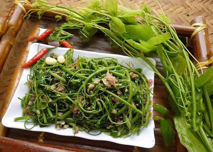 Tiếp đến là rau dạ hiến - một món ăn đặc sản Cao Bằng rất quý hiếm, được gọi là tinh hoa của núi rừng. Loại rau này chỉ mọc ở những vùng núi cao, có hương vị ngọt thanh đặc biệt. Rau dạ hiến đã trở thành món ăn đặc sản Cao Bằng quen thuộc trong các nhà hàng và được nhiều du khách yêu thích vì sự thanh mát, dễ ăn. Ảnh Internet