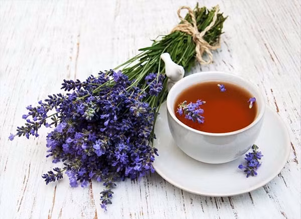  Trà hoa oải hương không chỉ mang tới giấc ngủ ngon mà còn có hiệu quả thư giãn tinh thần, giảm căng thẳng và lo lắng. Đây là thức uống hỗ trợ giấc ngủ an toàn và phù hợp với nhiều đối tượng. Trong hoa cúc có chứa apigenin - một hợp chất chống oxy hóa và gây buồn ngủ. Apigenin tự gắn vào các thụ thể trong não, có tác dụng làm giảm lo lắng, tạo ra sự bình tĩnh, dẫn đến buồn ngủ. Ảnh minh họa