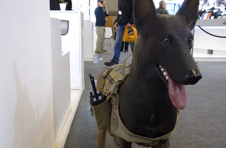 Trong ảnh là mẫu vest bảo vệ có tên C-Guard "Pluto" dành cho những chú chó nghiệp vụ K9, bên cạnh đó bộ vest bảo vệ này còn được trang bị thiết bị vô hiệu hóa các thiết bị nổ tự tạo được kích hoạt qua sóng vô tuyến.