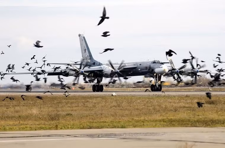 Là một trong bộ ba răn đe hạt nhân chiến lược của Liên Xô, máy bay ném bom chiến lược Tu-95 có phạm vi hoạt động tối đa lên tới 15.000km khi chưa được tiếp nhiên liệu trên không, nó thể xuất hiện ở bất kỳ đầu trên thế giới nếu cần thiết.