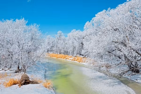 Công viên Manitoba, Canada được ví như một bức tranh tuyệt đẹp với phông nền chủ đạo là những mảng băng tuyết dày đặc của mùa đông, sắc cam dịu dàng của mùa thu cùng mặt nước trong veo mang hơi thở của mùa xuân. Nguồn ảnh: Winterparkresort, Worldsnowboardguide.