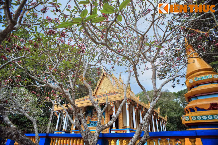 Nằm ở phường 3, TP Sóc Trăng, tỉnh Sóc Trăng, chùa Dơi còn được gọi là chùa Mã Tộc hay chùa Mahatup, là ngôi chùa nổi tiếng bậc nhất của đồng bào Khmer ở khu vực Nam Bộ.