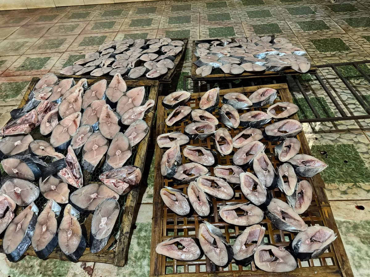 Xuan ve tren lang nghe ca nuong o Nghe An-Hinh-3