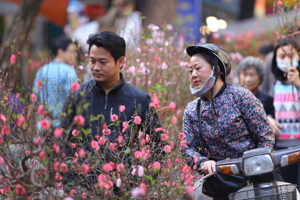 Dịp Tết Nguyên đán: Bắc Bộ phổ biến trời rét, Nam Bộ trời nắng Dip Tet Nguyen dan: Bac Bo pho bien troi ret, Nam Bo troi nang